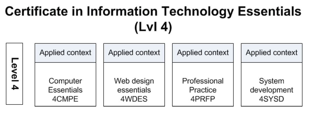 Certificate in Information Technology Essentials Level 4