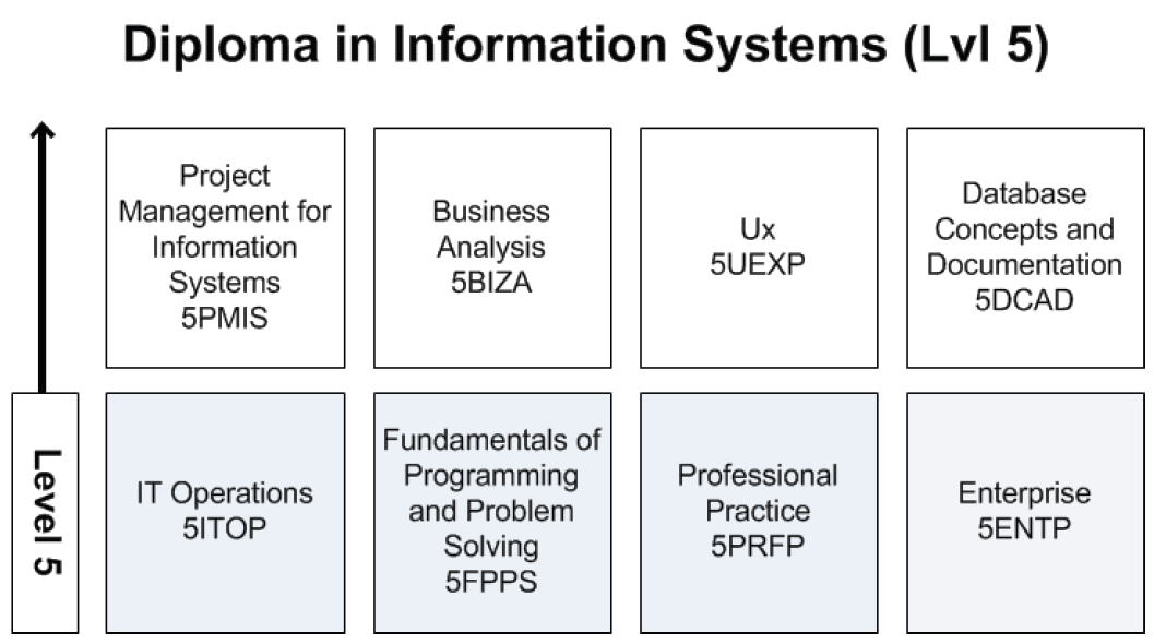 Diploma in Information Systems Level 5