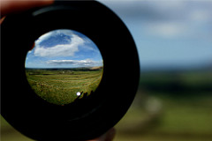 Looking Glass